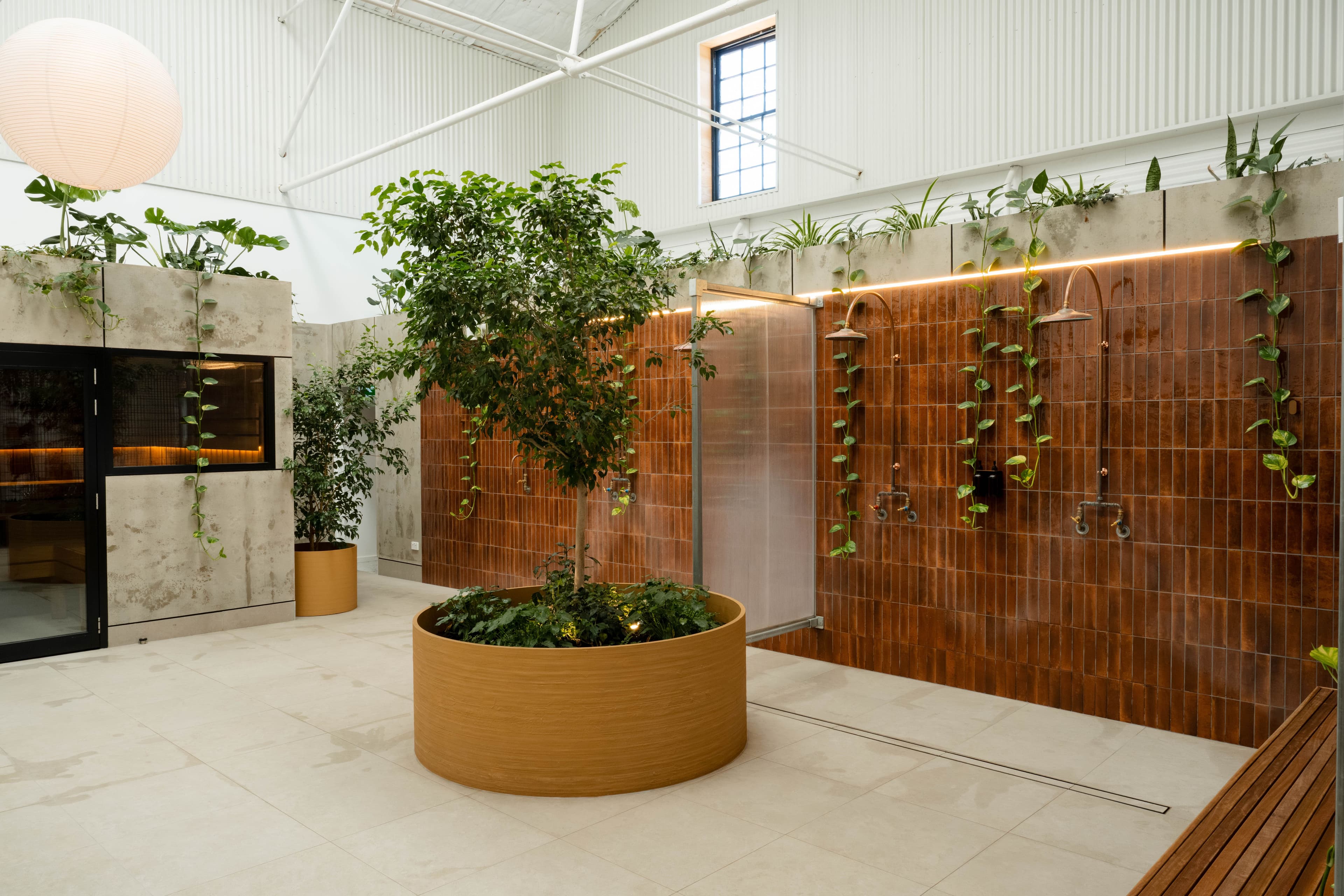 Who we are and what we offer